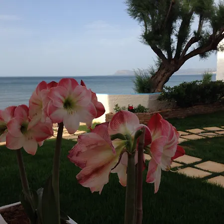 Hermes Front 아파트 *