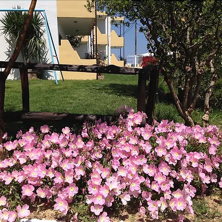 Apartment Hermes Front *