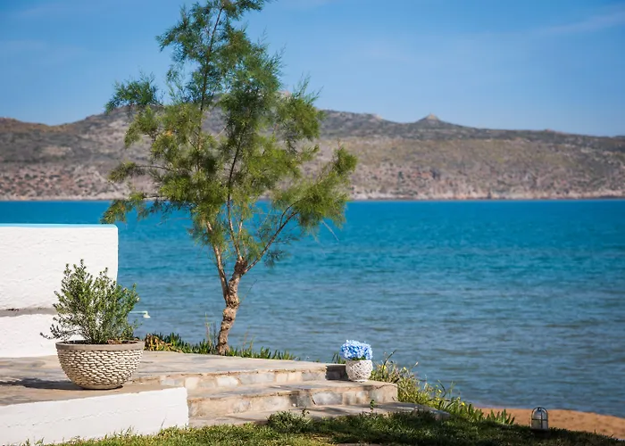 Hermes Front Lejlighed